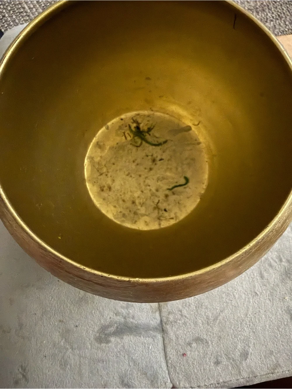 modern, round metal vase or planter with a brushed gold finish.